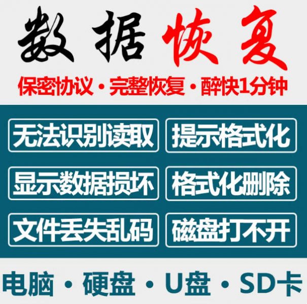 电脑移动硬盘数据恢复文件固态U盘维修SD卡照片远程损坏修复服
